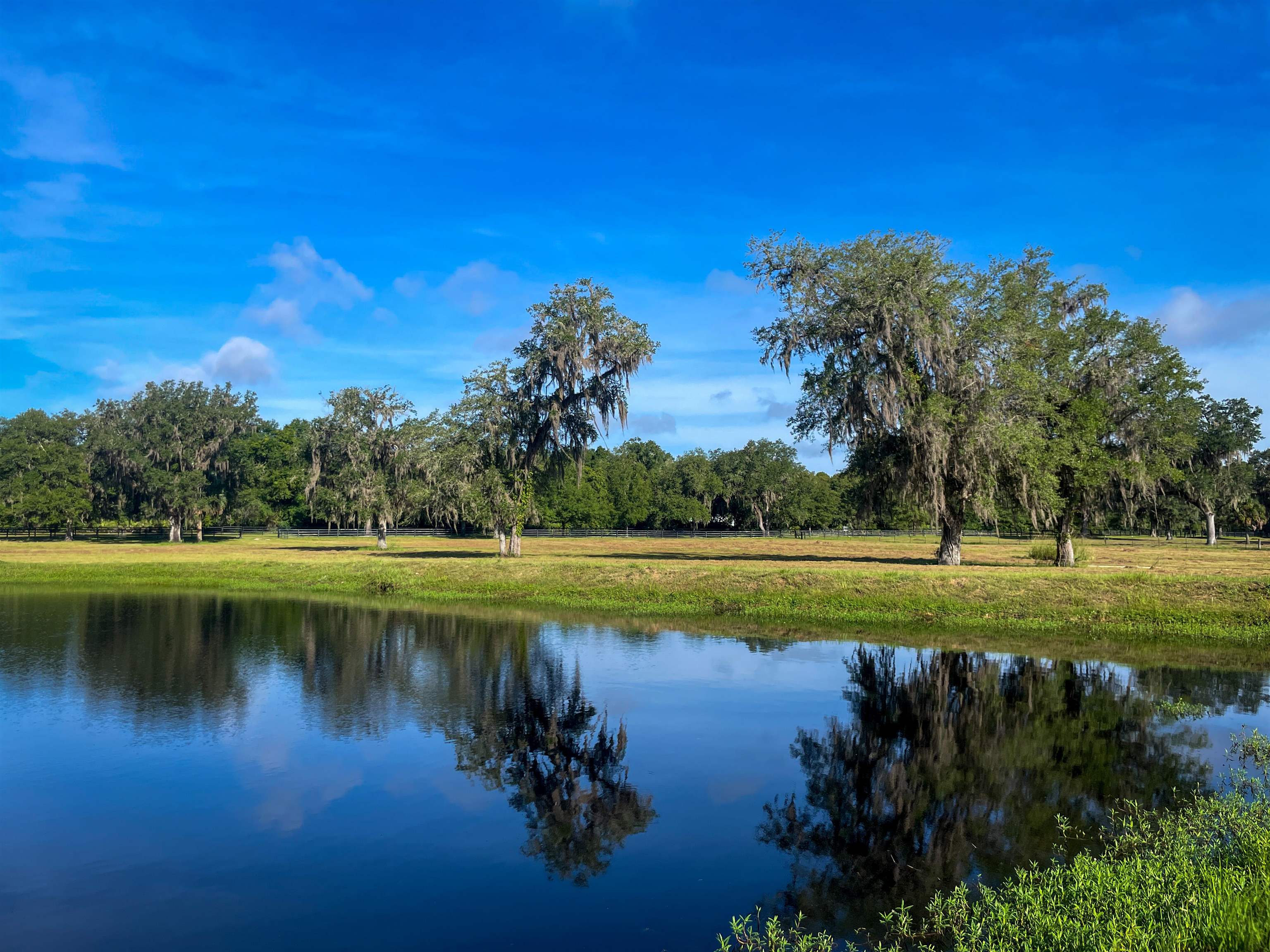 3920 Bill Carlton Road, Perry, Texas image 32