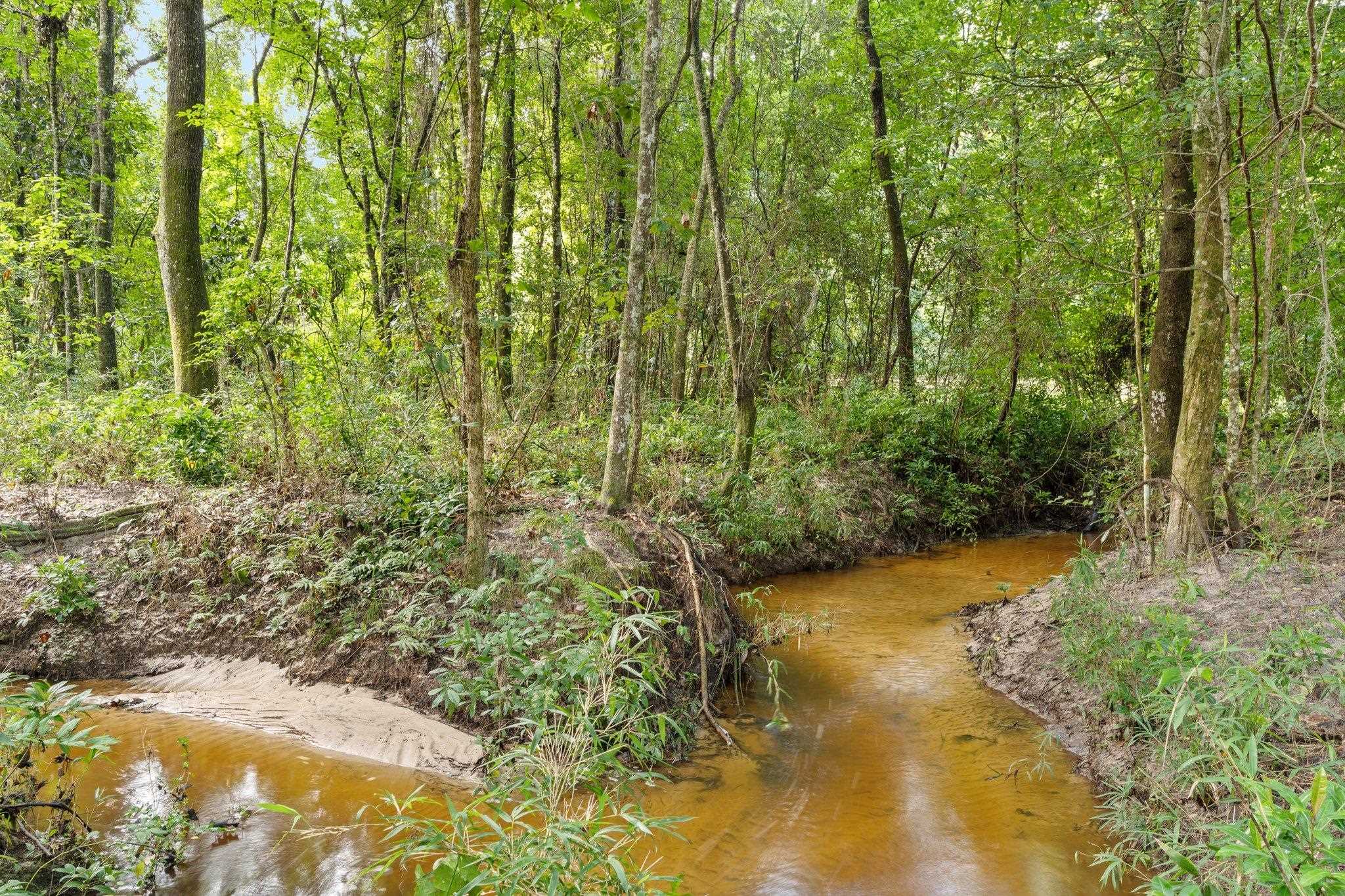 825 Rainey Run, Monticello, Florida image 38