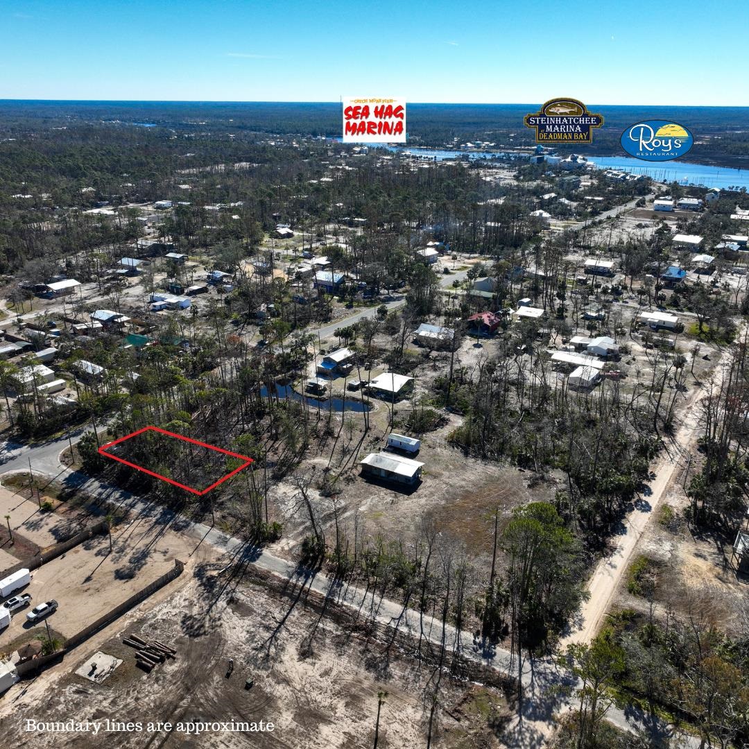 Lot 6 Fifth Avenue Avenue, Steinhatchee, Florida image 1