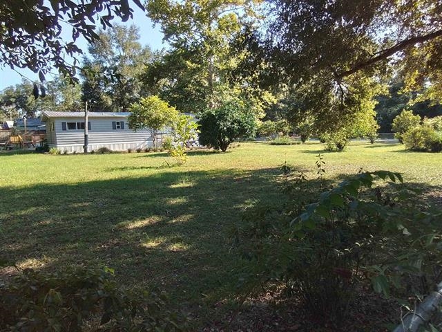 Xxx Dogwood Drive, Crawfordville, Florida image 9