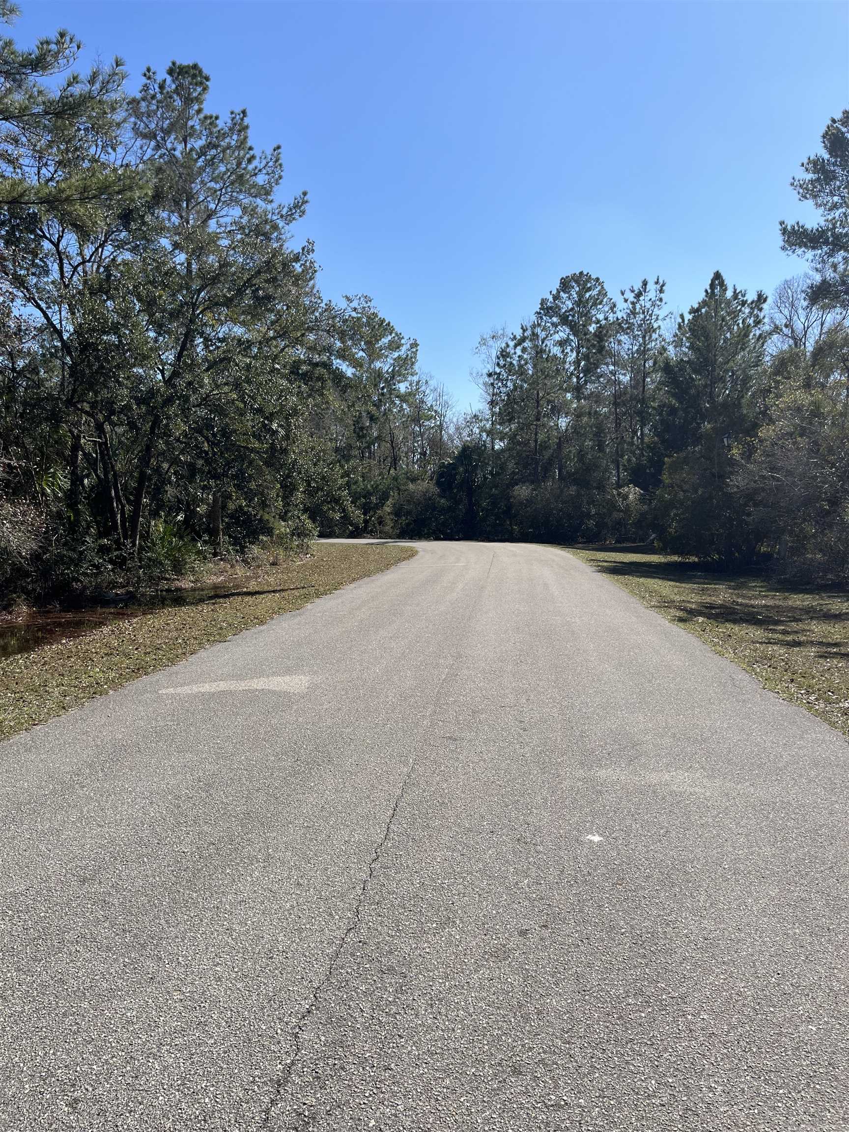 Lot 10 Burnt Pine Loop, St Marks, Texas image 2