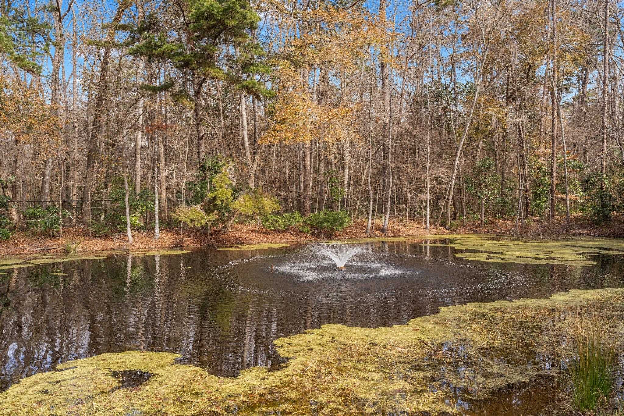 134 Meadow Wood Court, Tallahassee, Texas image 4