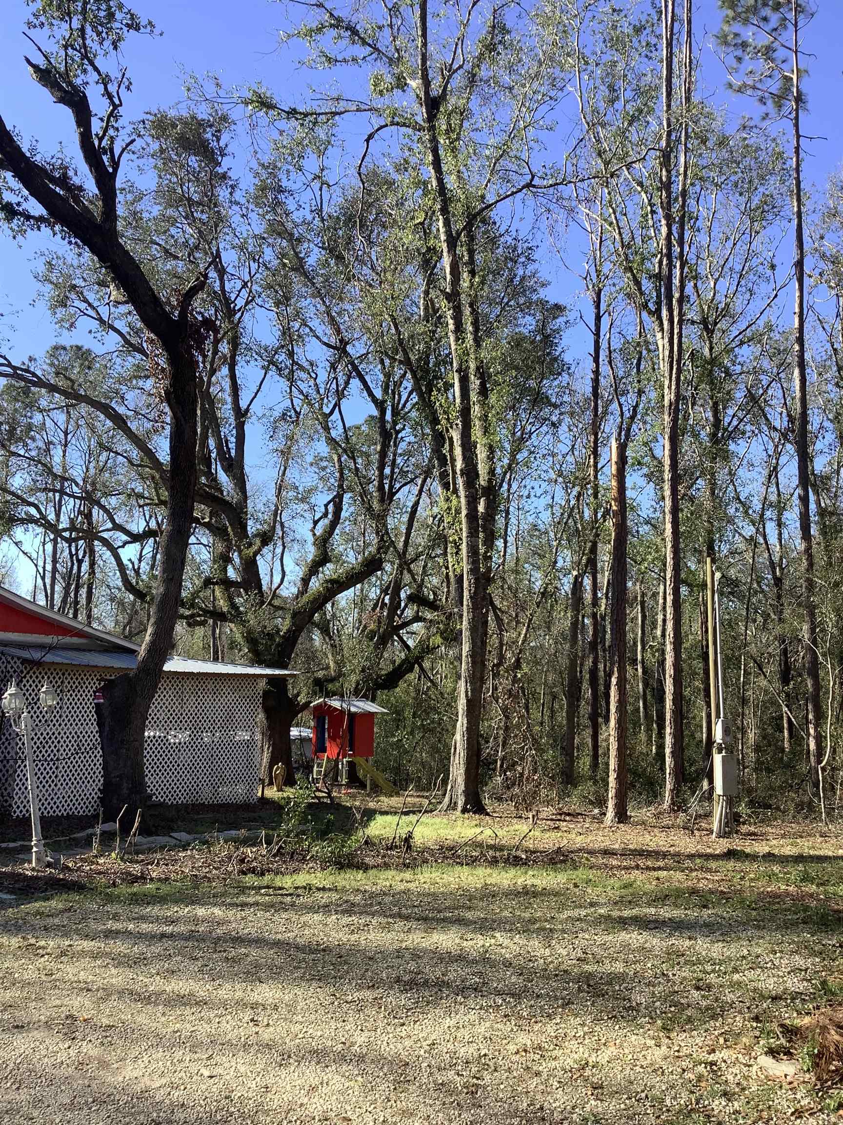 396 NE Nixon Way, Madison, Florida image 7