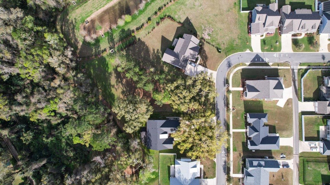 Scarlet Sage Way, Tallahassee, Florida image 10