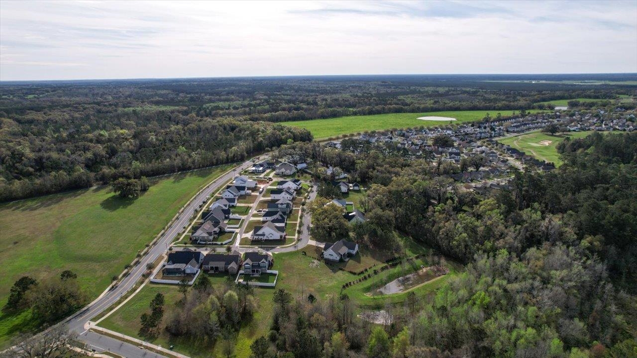 Scarlet Sage Way, Tallahassee, Florida image 17