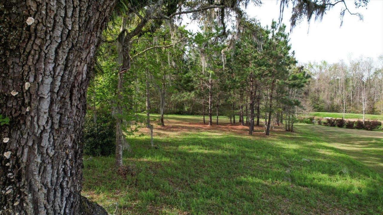 Scarlet Sage Way, Tallahassee, Florida image 32