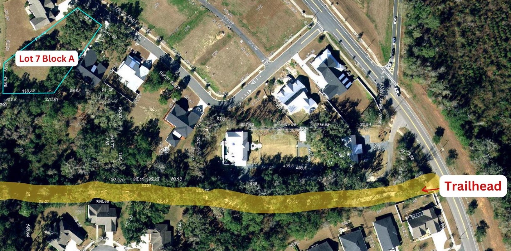 Scarlet Sage Way, Tallahassee, Florida image 37