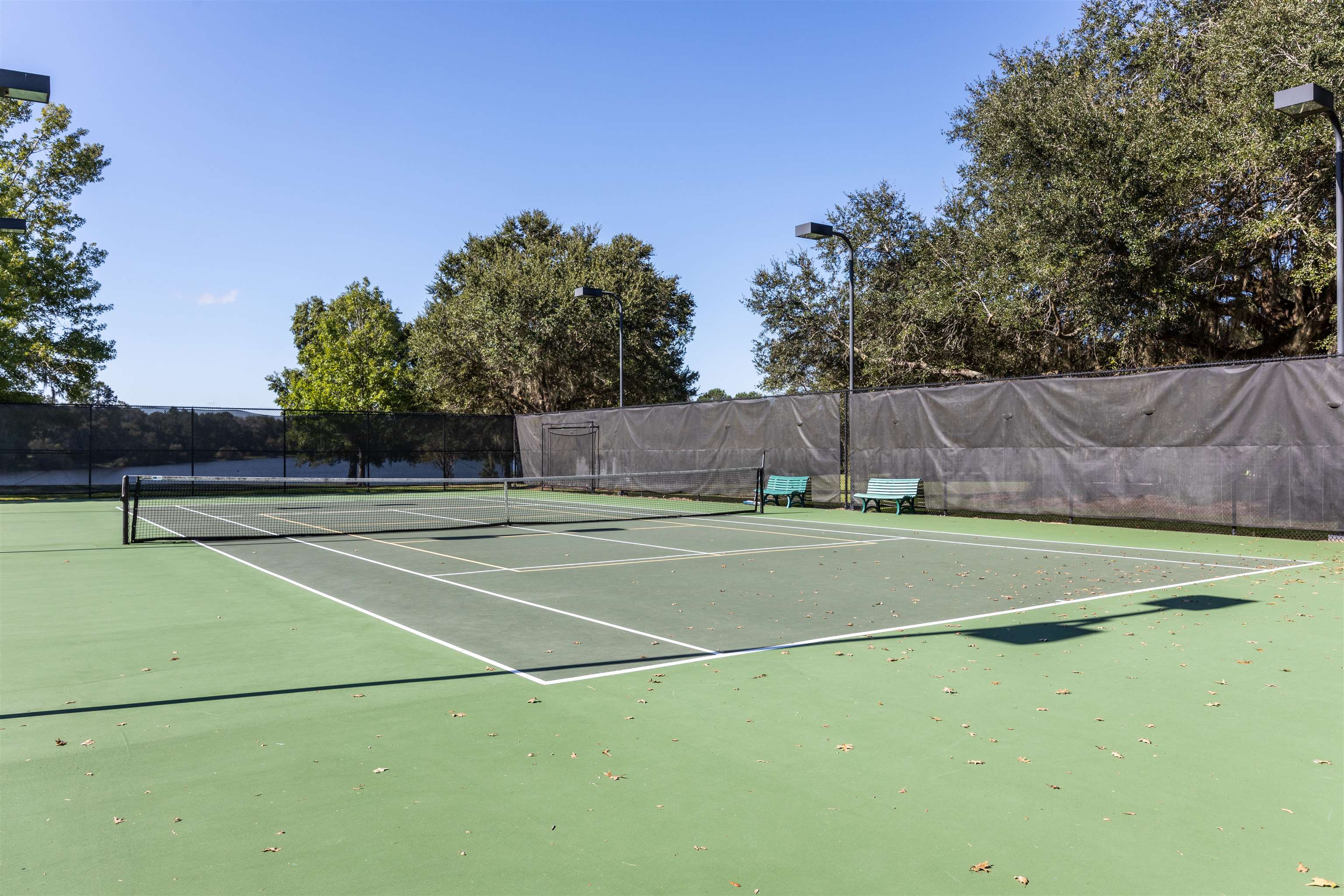 Scarlet Sage Way, Tallahassee, Florida image 39