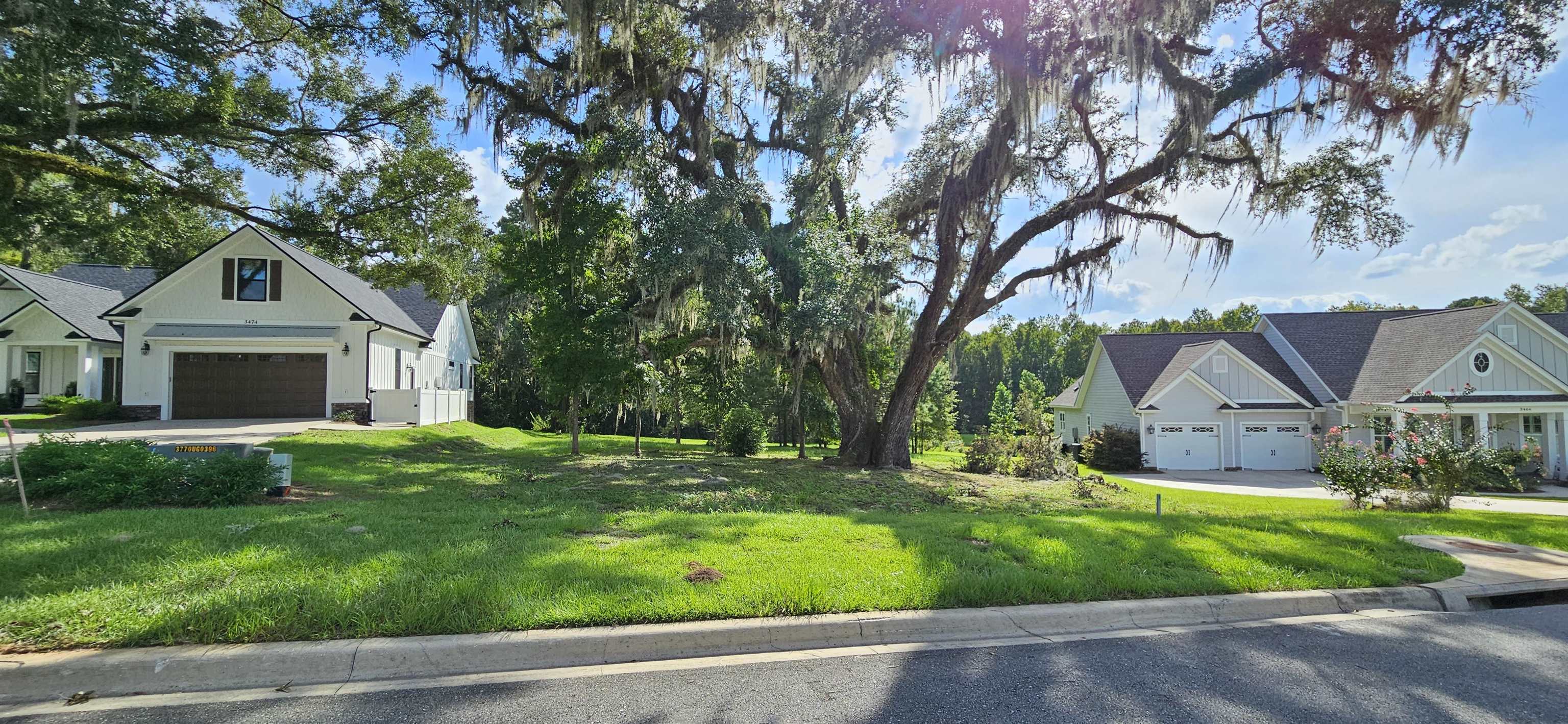 Scarlet Sage Way, Tallahassee, Florida image 4