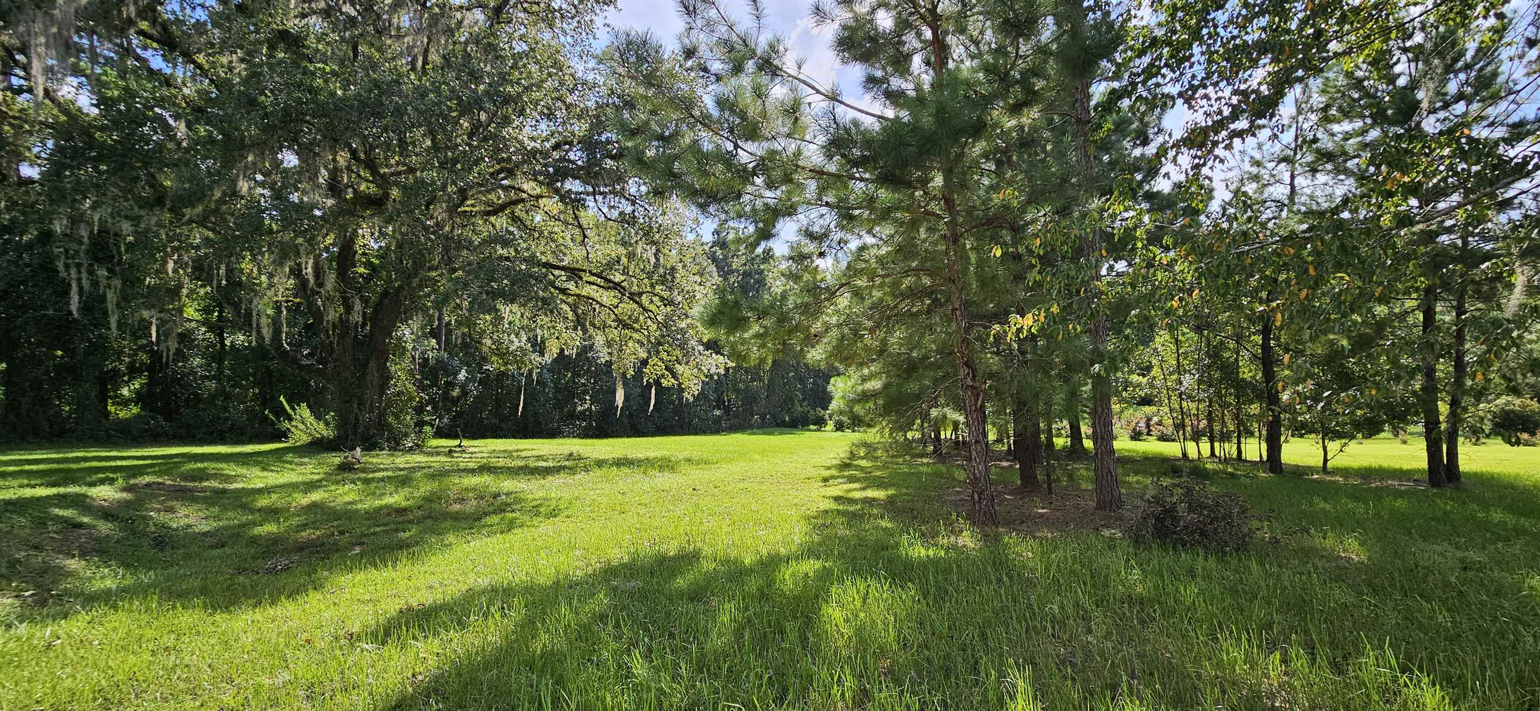 Scarlet Sage Way, Tallahassee, Florida image 6