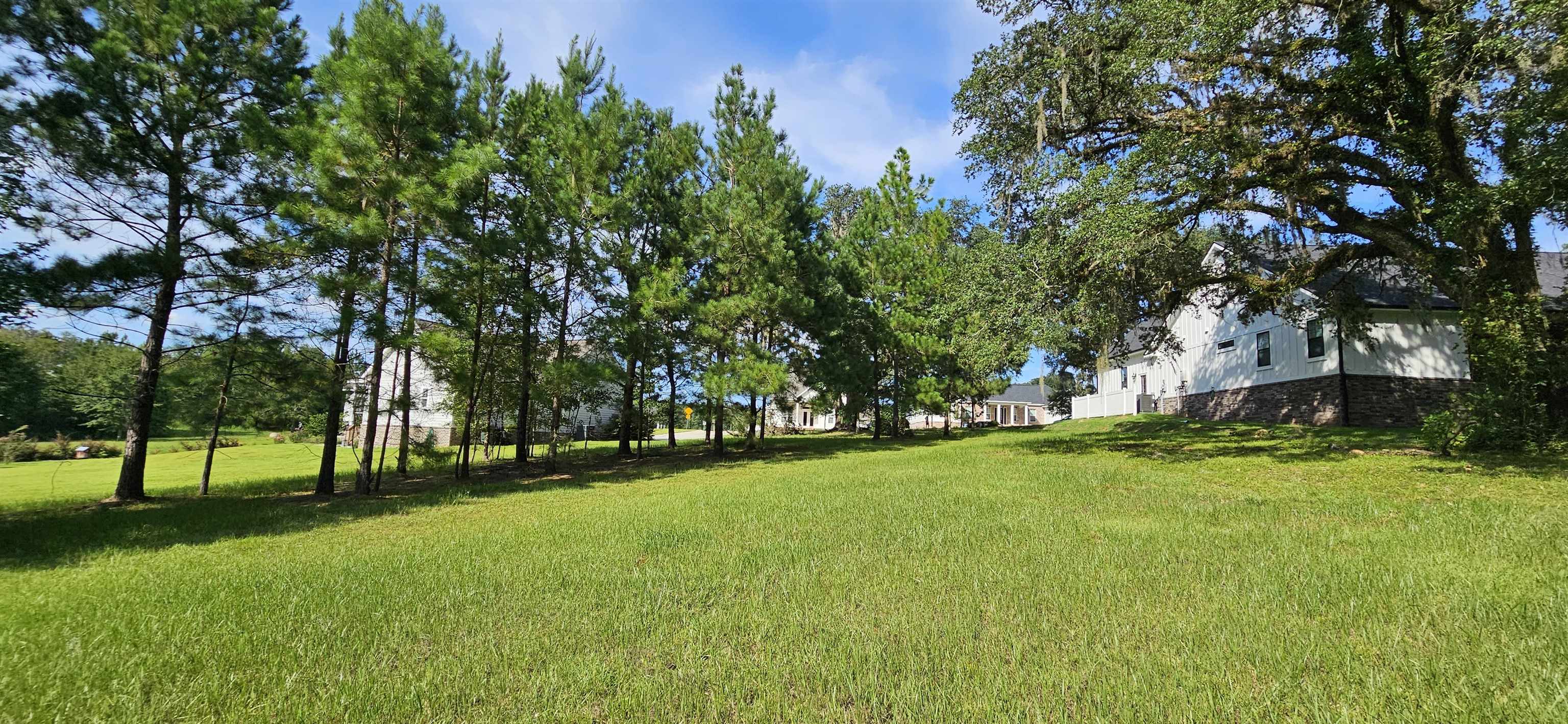 Scarlet Sage Way, Tallahassee, Florida image 8