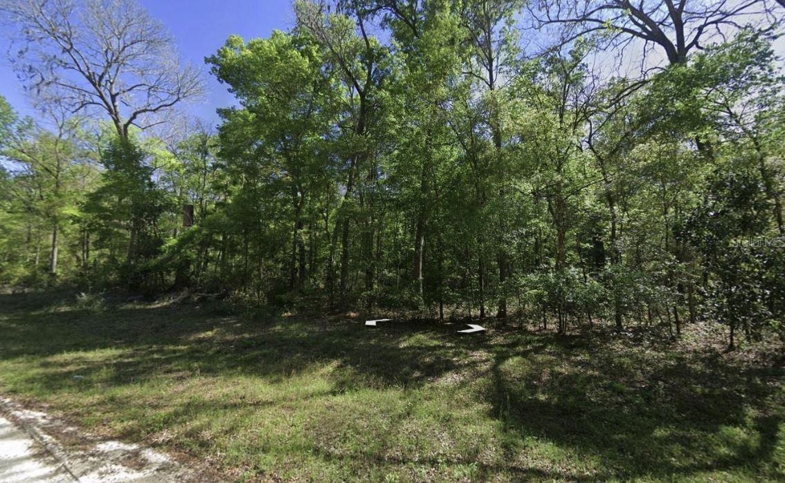 Learn more about this property located in Branford, FL