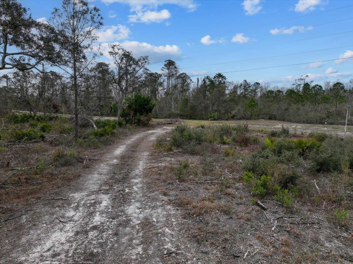 18960 Beach Road, Keaton Beach, Florida image 6