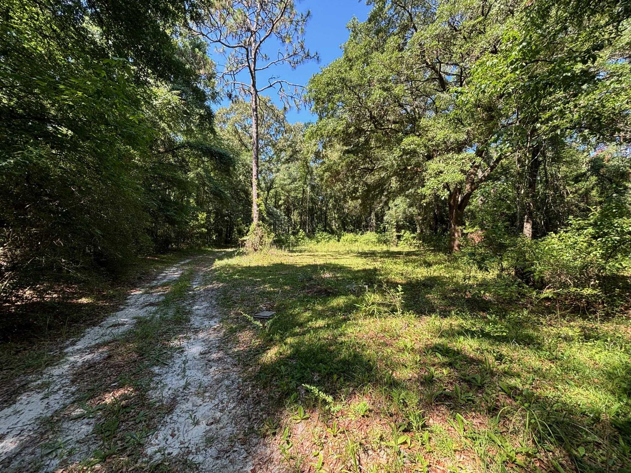 1781 Wax Myrtle Road, Tallahassee, Florida image 1