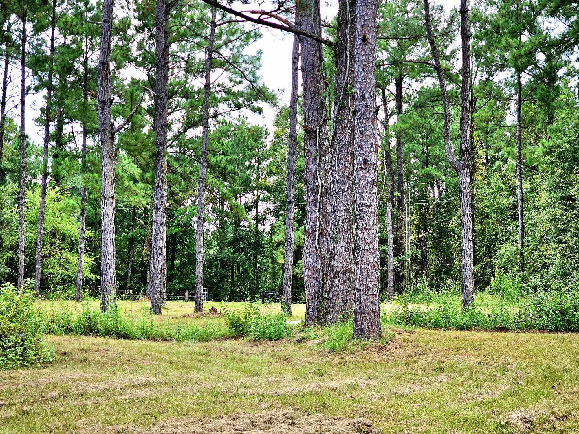 238 Winding Creek Lane, Quincy, Florida image 6
