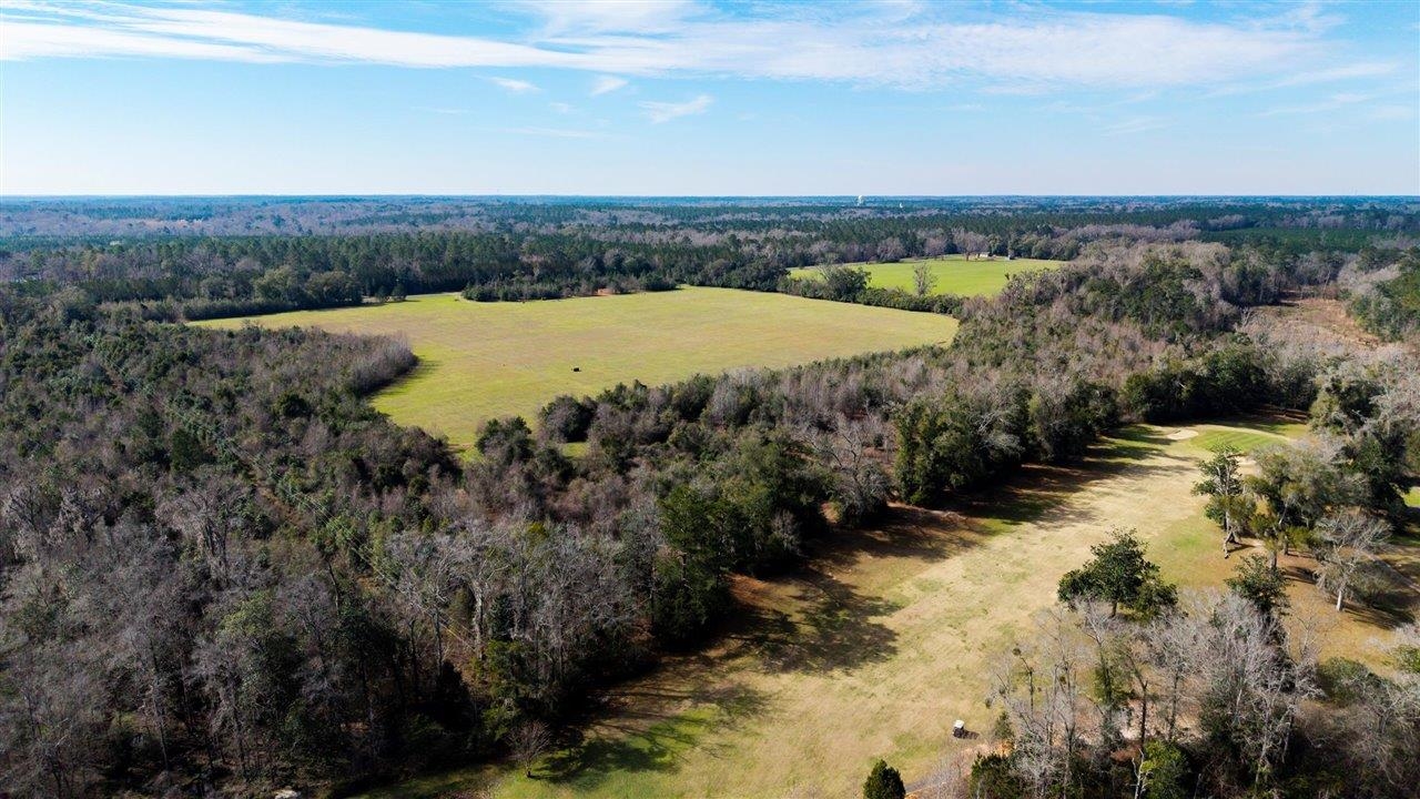 Luten Road, Quincy, Florida image 11