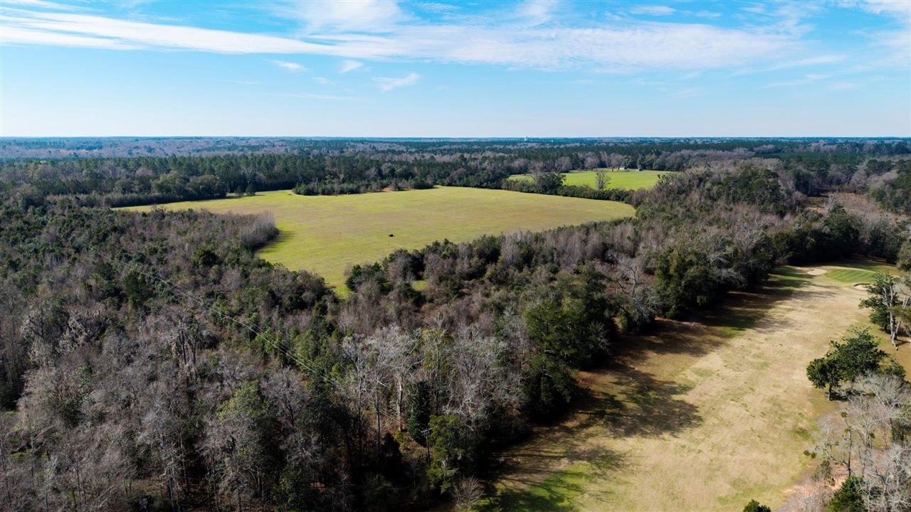 Luten Road, Quincy, Florida image 12