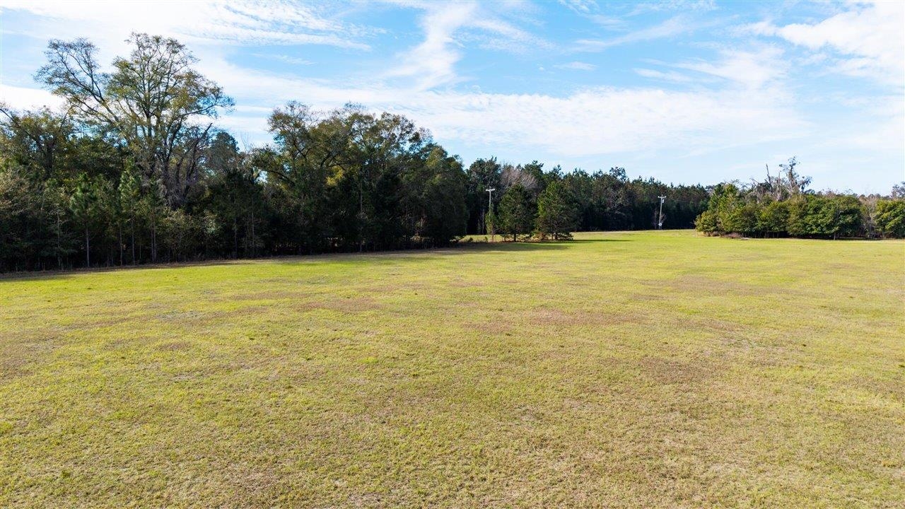 Luten Road, Quincy, Florida image 21