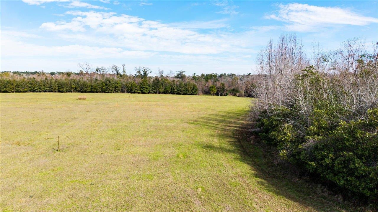 Luten Road, Quincy, Florida image 22