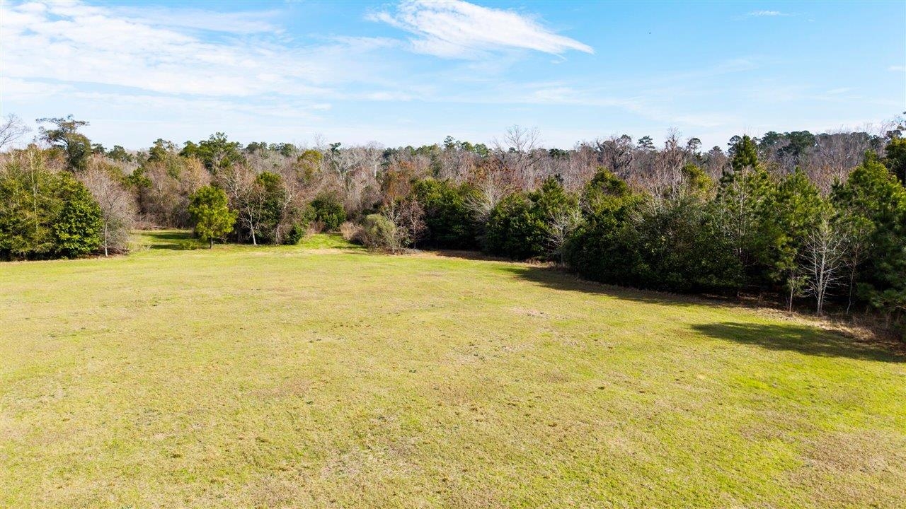 Luten Road, Quincy, Florida image 24