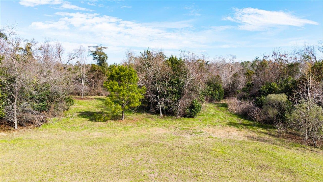 Luten Road, Quincy, Florida image 25