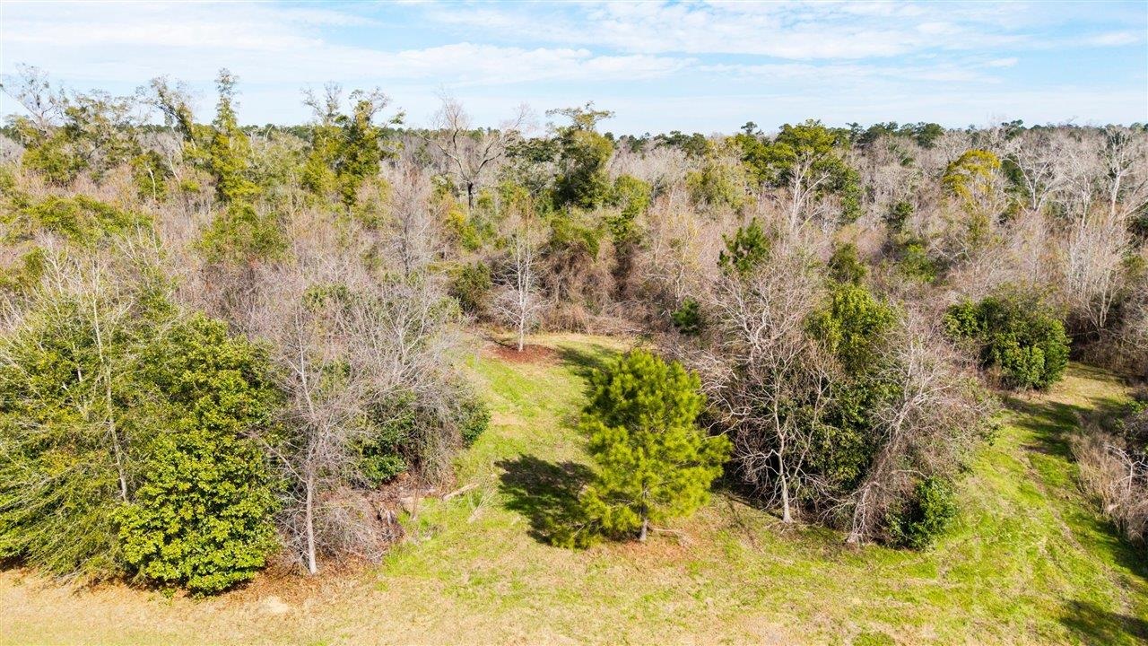 Luten Road, Quincy, Florida image 26