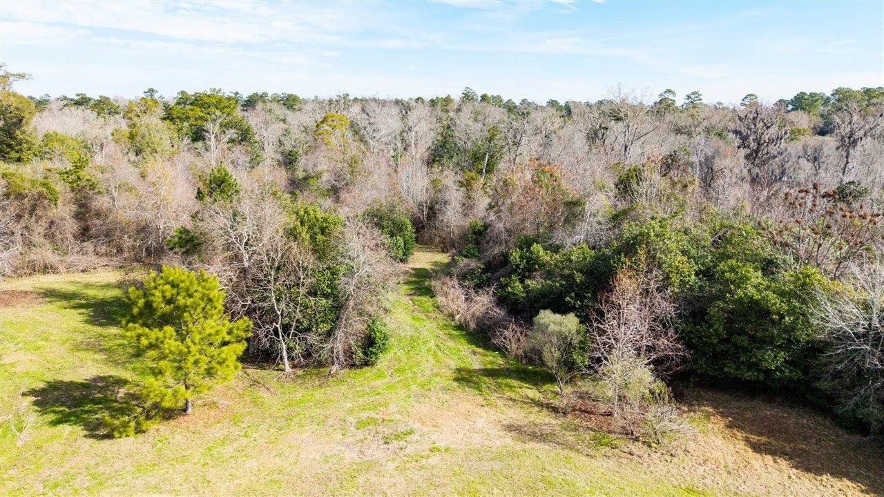 Luten Road, Quincy, Florida image 27