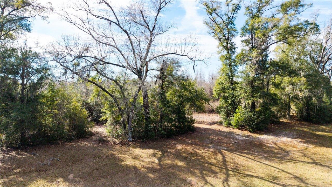 Luten Road, Quincy, Florida image 29