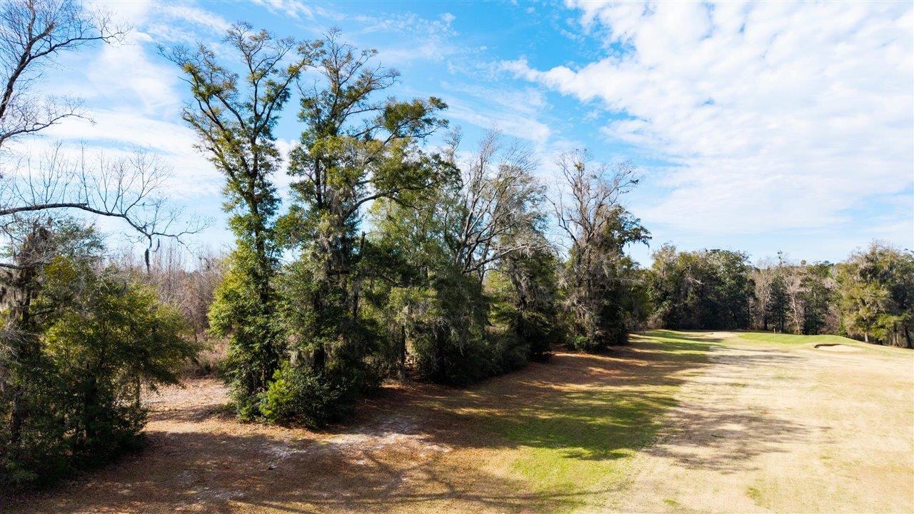 Luten Road, Quincy, Florida image 30