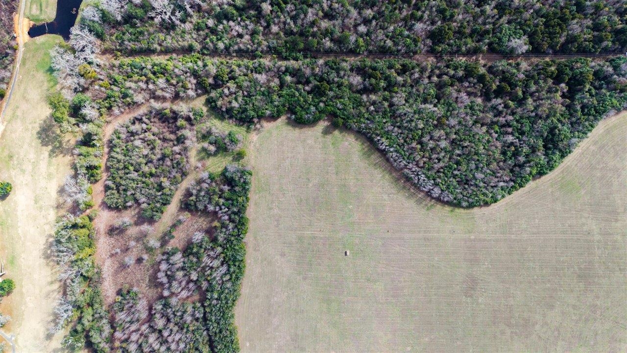 Luten Road, Quincy, Florida image 33