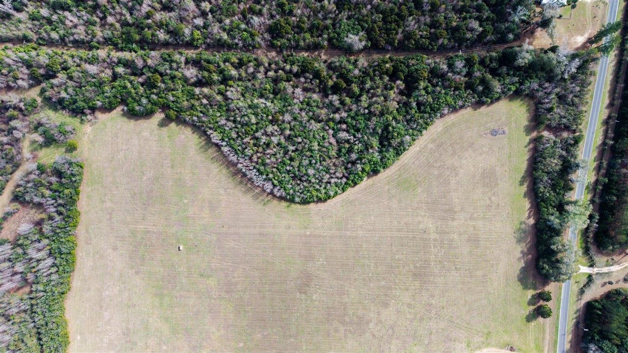 Luten Road, Quincy, Florida image 34
