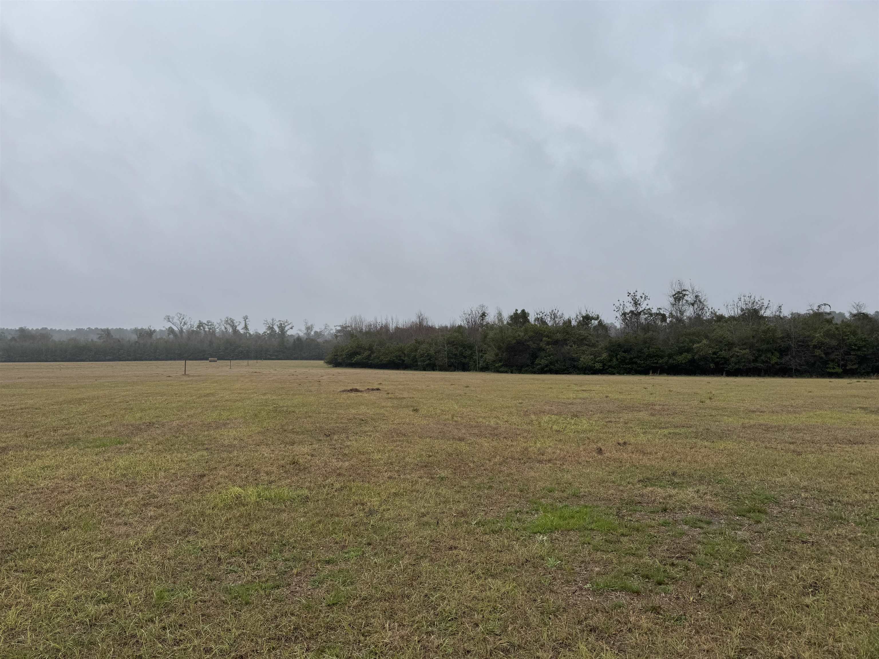 Luten Road, Quincy, Florida image 41