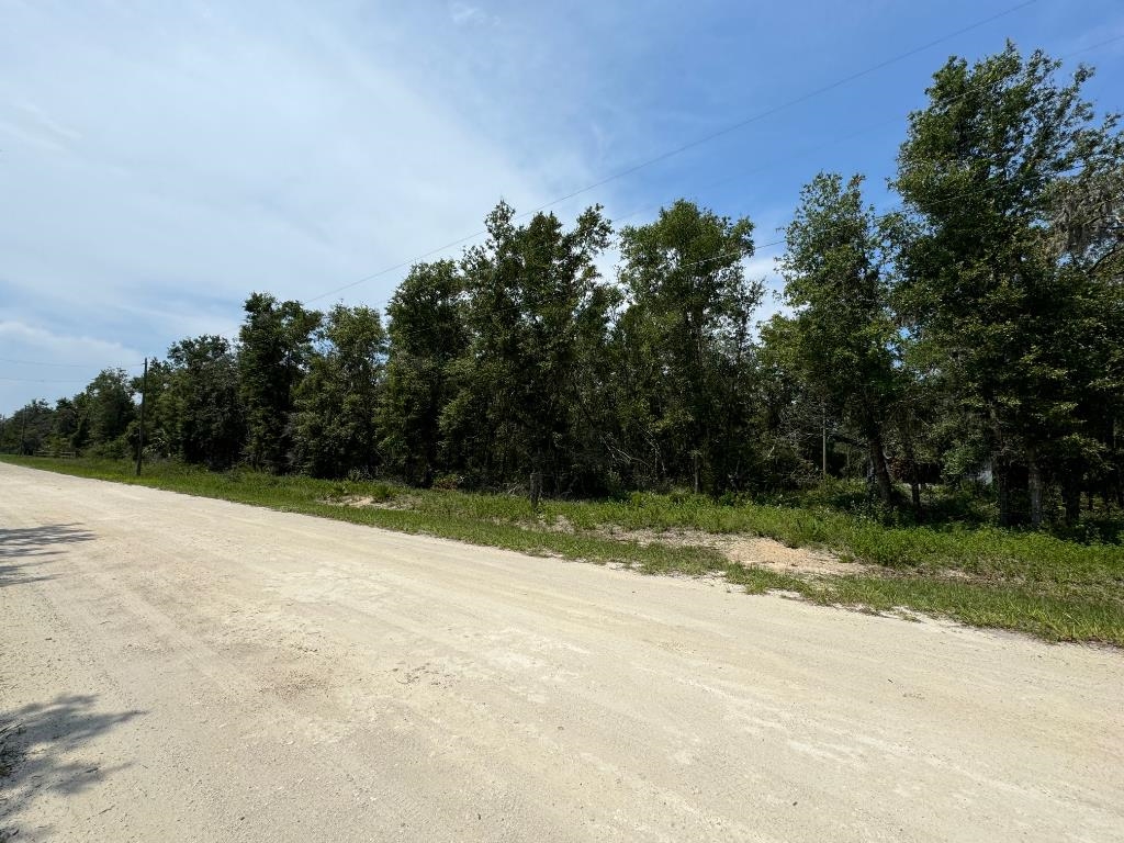 44 Pompano Place, Perry, Florida image 1