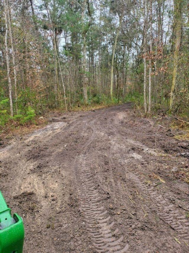 XX River Plantation Road, Crawfordville, Florida image 3