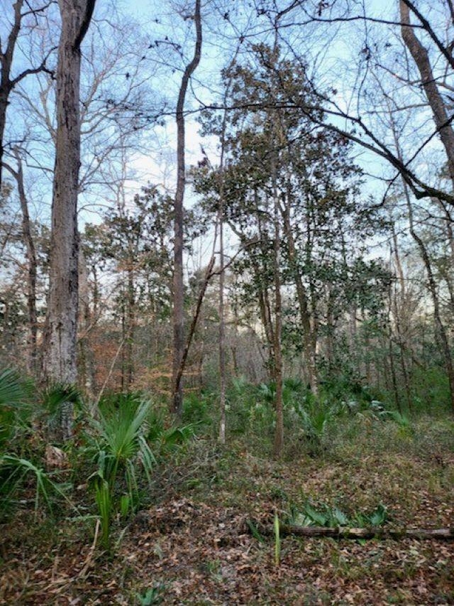 XX River Plantation Road, Crawfordville, Florida image 5