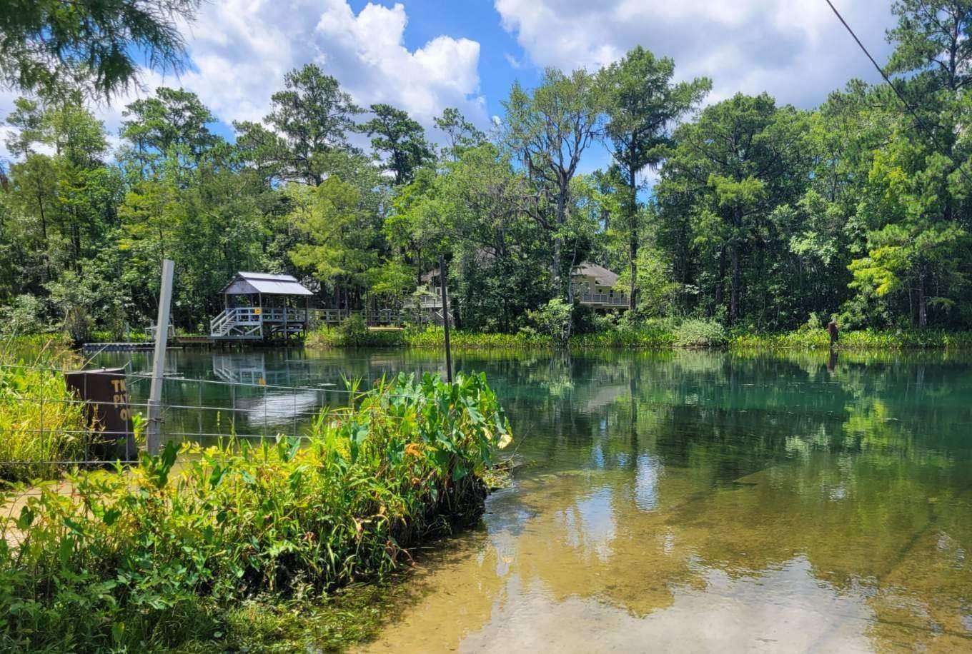 Shoal Creek Drive, Tallahassee, Florida image 7