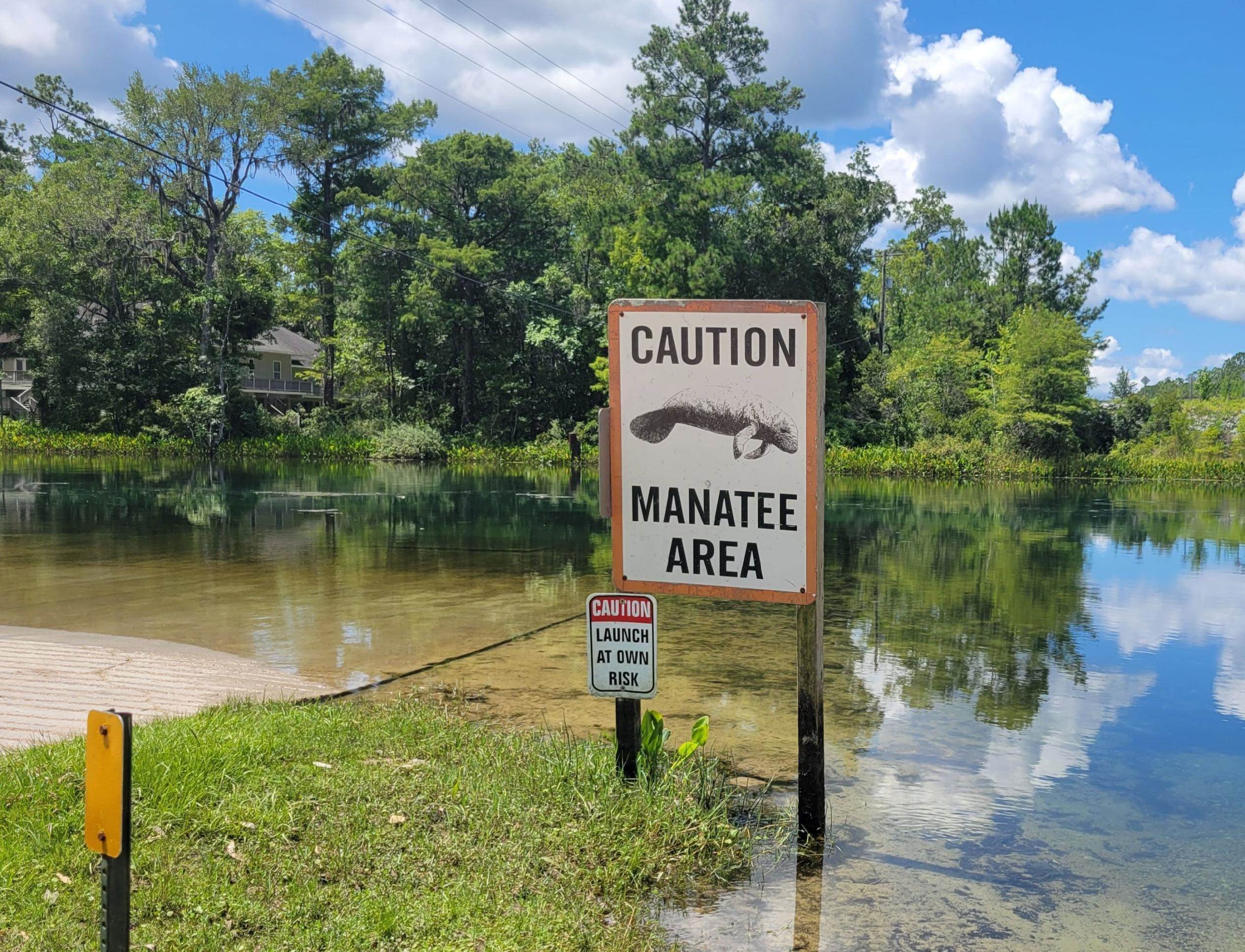 Shoal Creek Drive, Tallahassee, Florida image 9