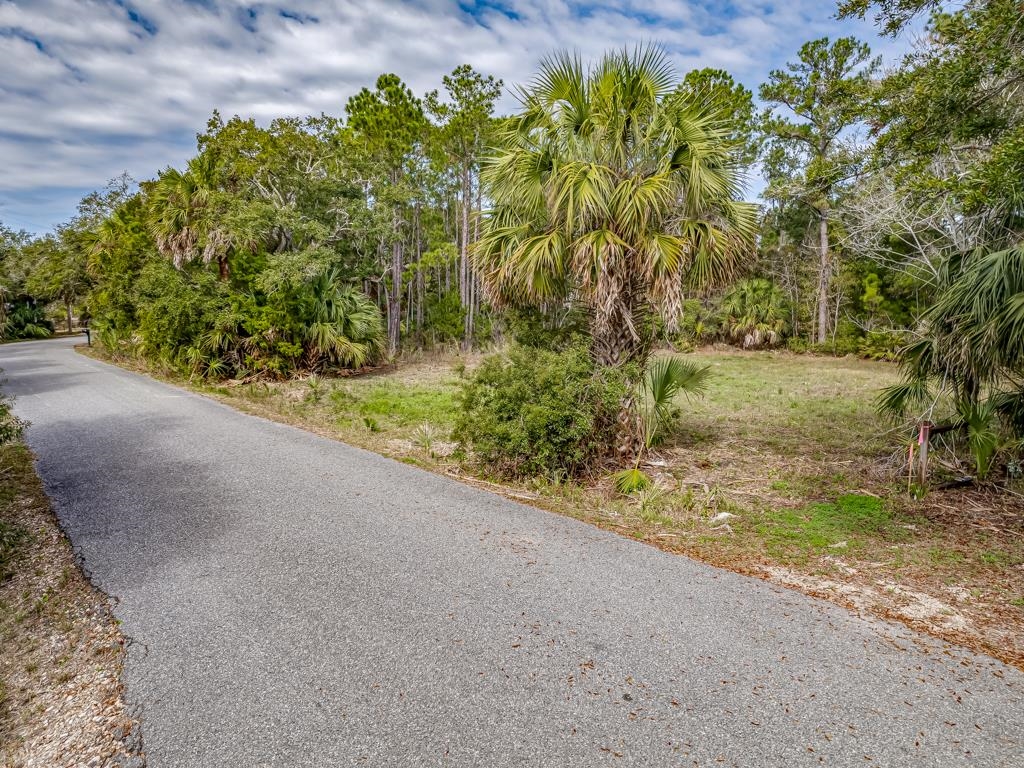 Lot 5 Blue Dolphin Drive #2, Crawfordville, Florida image 12