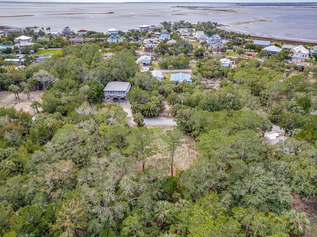 Lot 5 Blue Dolphin Drive #2, Crawfordville, Florida image 13