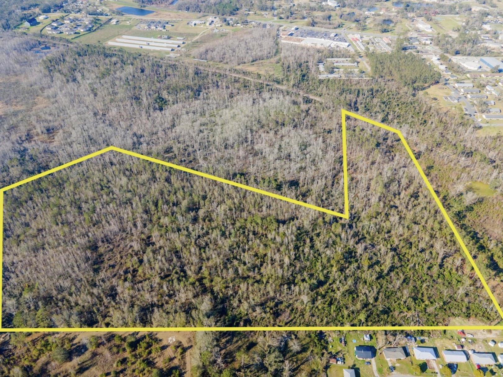 Vacant SE Jeanette Circle, Madison, Florida image 1