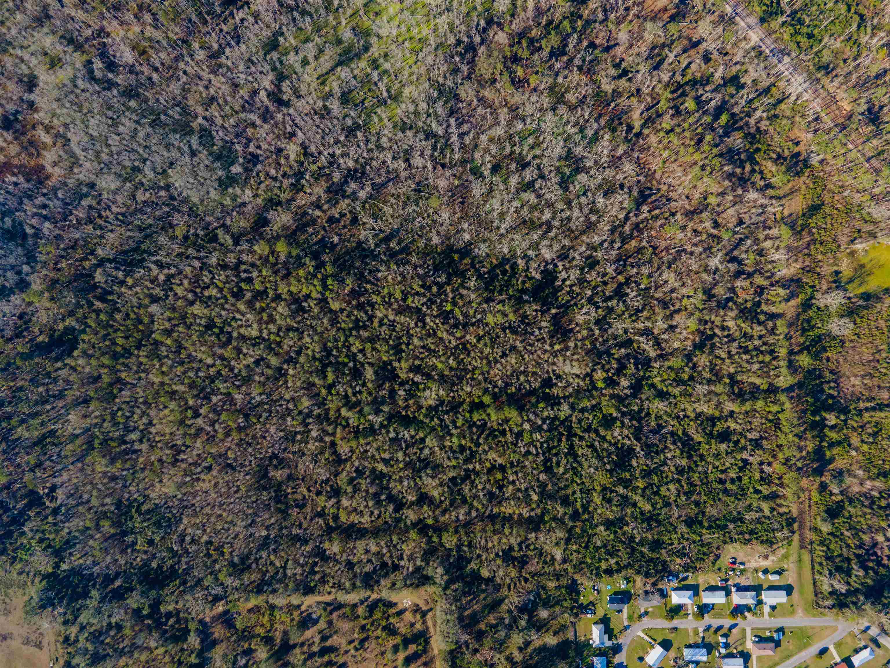 Vacant SE Jeanette Circle, Madison, Florida image 10