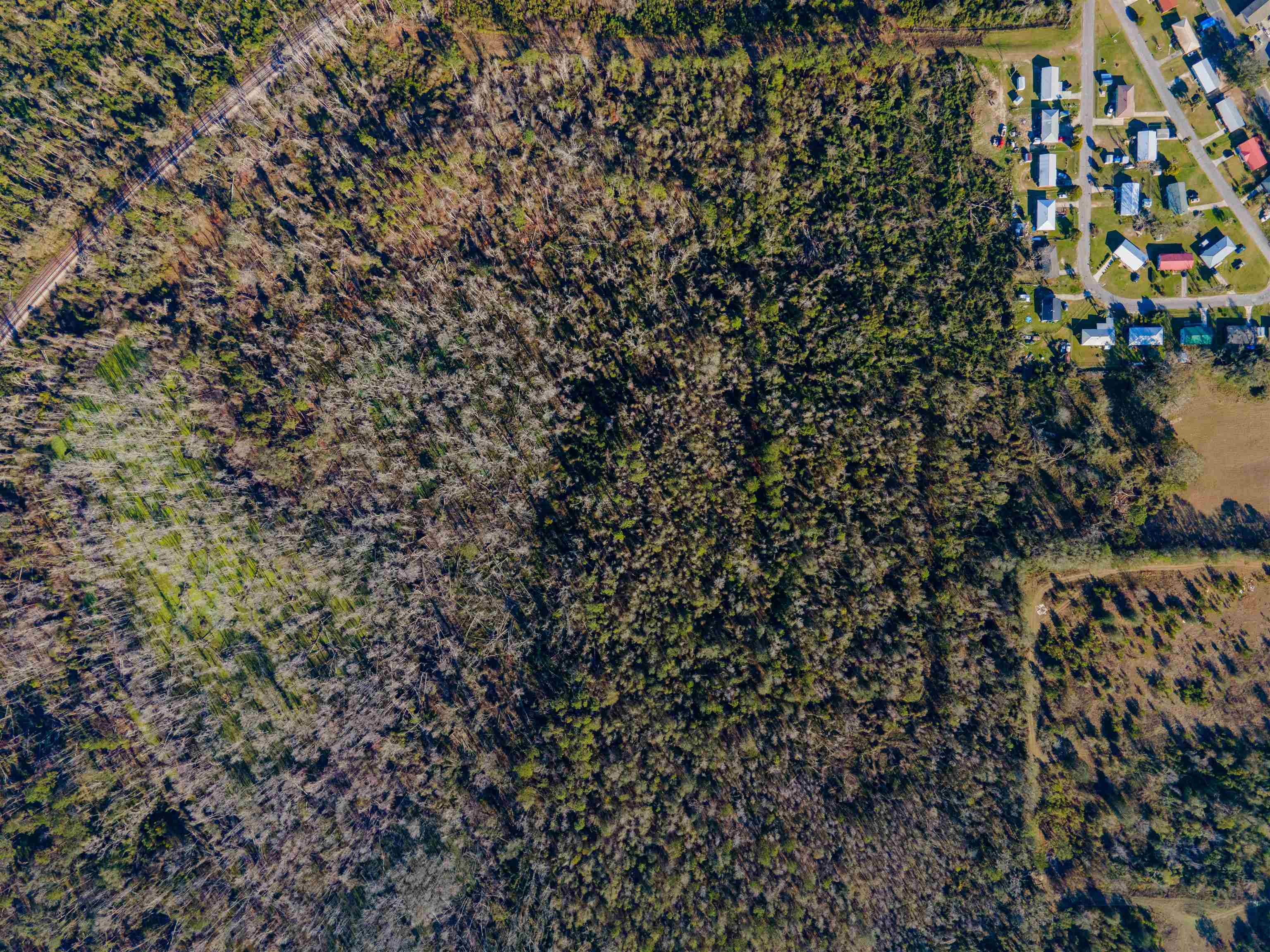 Vacant SE Jeanette Circle, Madison, Florida image 11