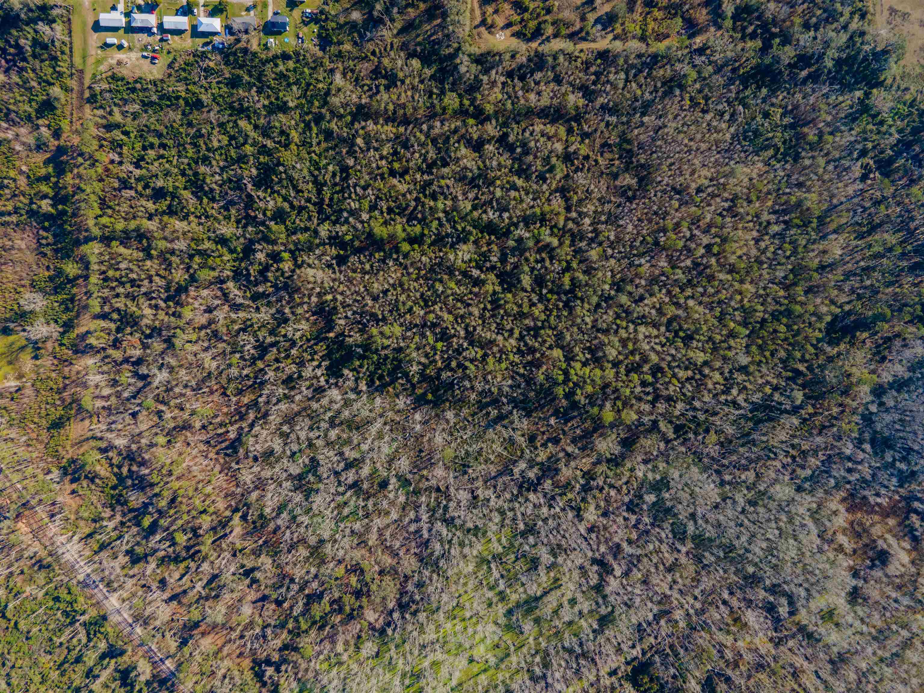 Vacant SE Jeanette Circle, Madison, Florida image 12