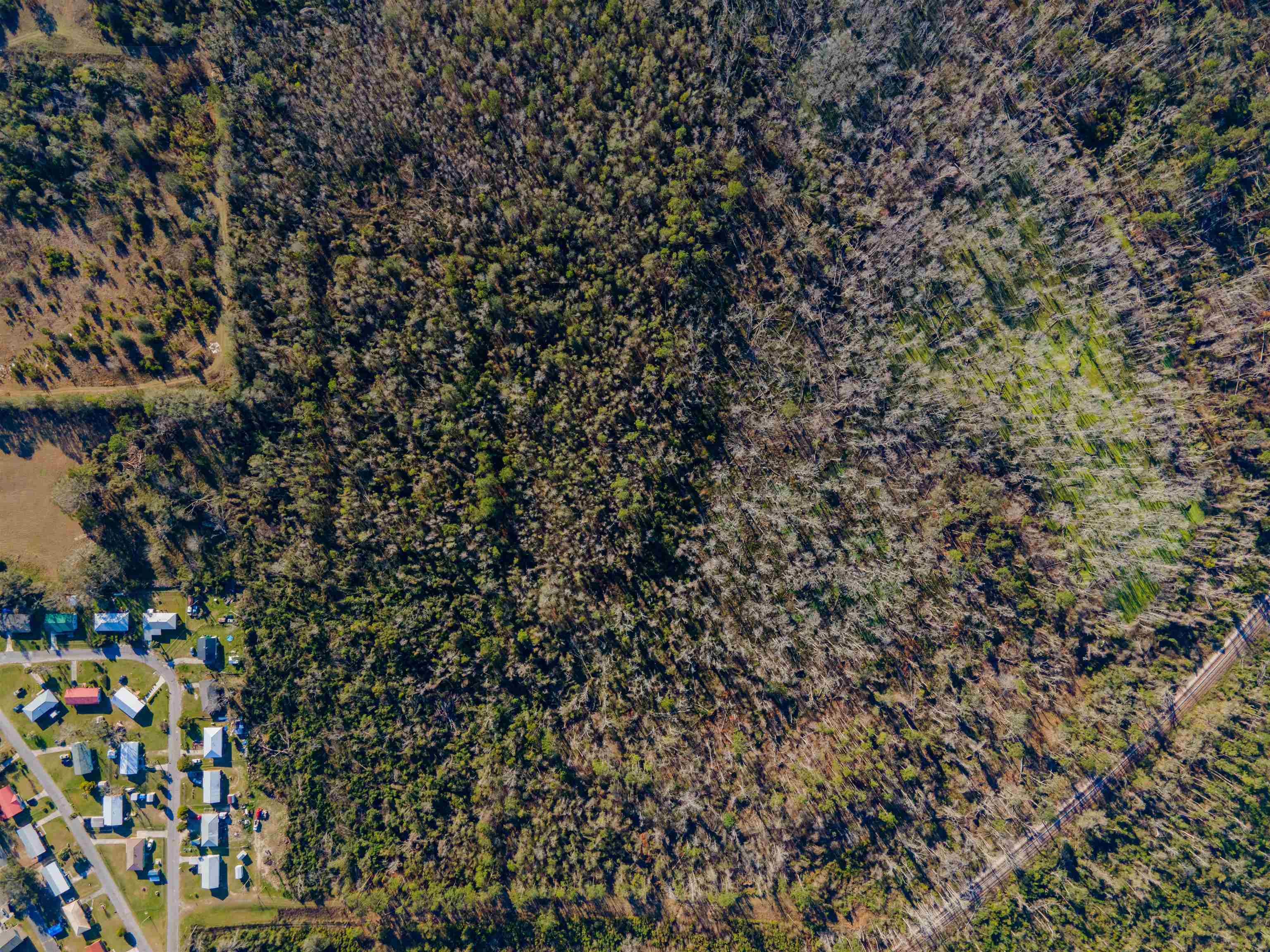 Vacant SE Jeanette Circle, Madison, Florida image 13