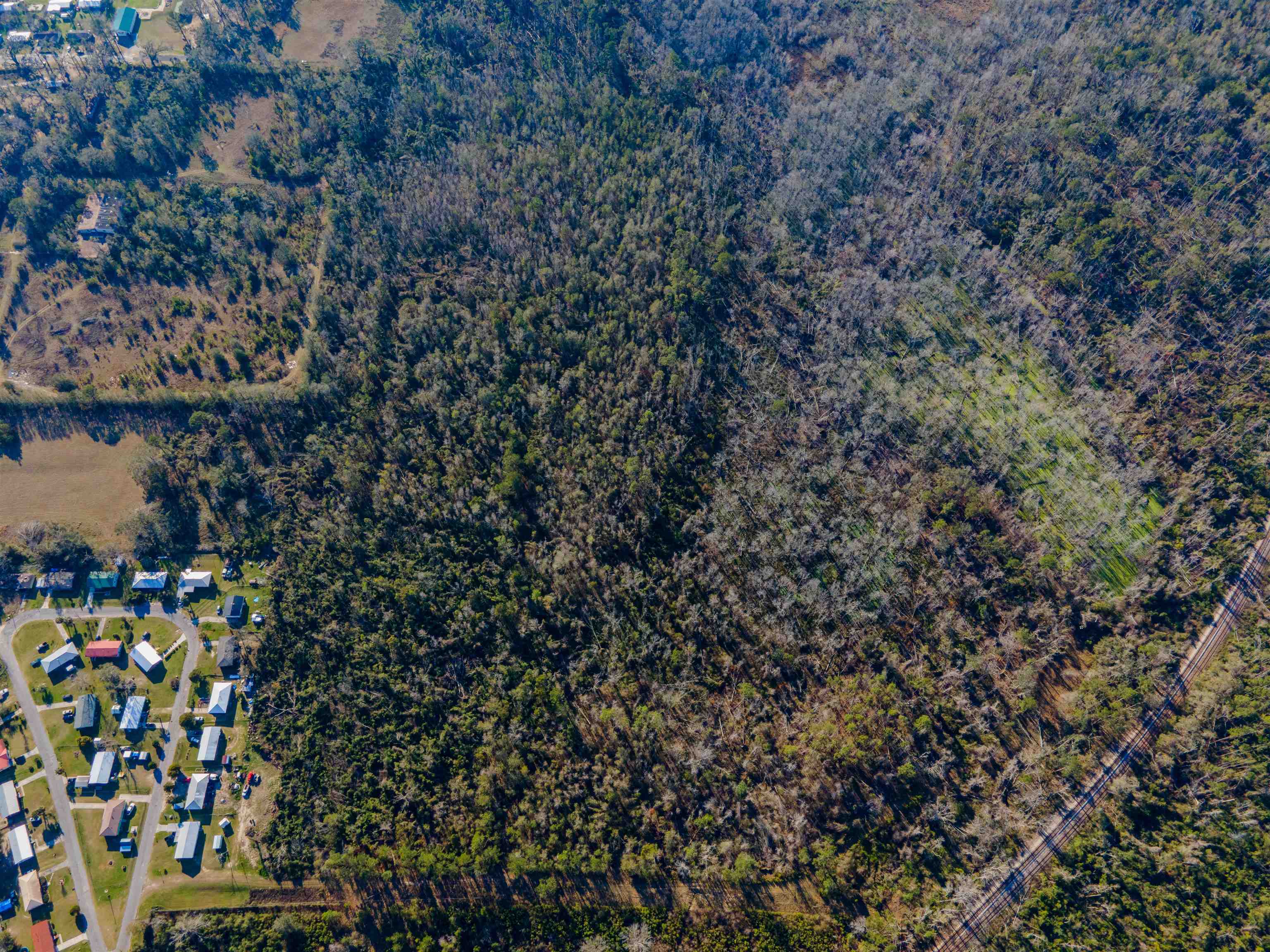 Vacant SE Jeanette Circle, Madison, Florida image 14