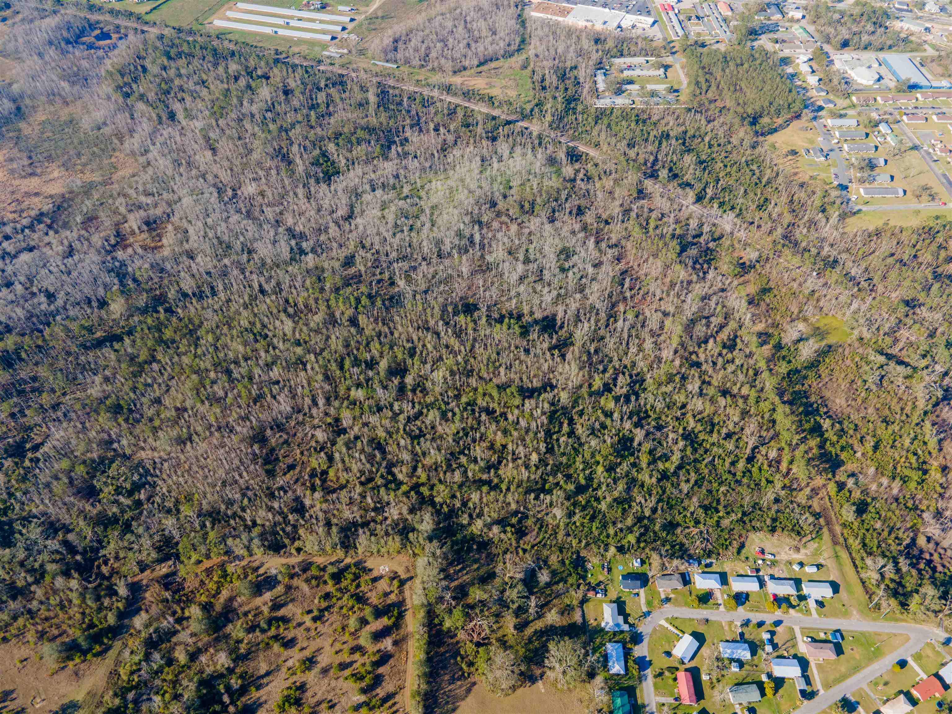 Vacant SE Jeanette Circle, Madison, Florida image 15