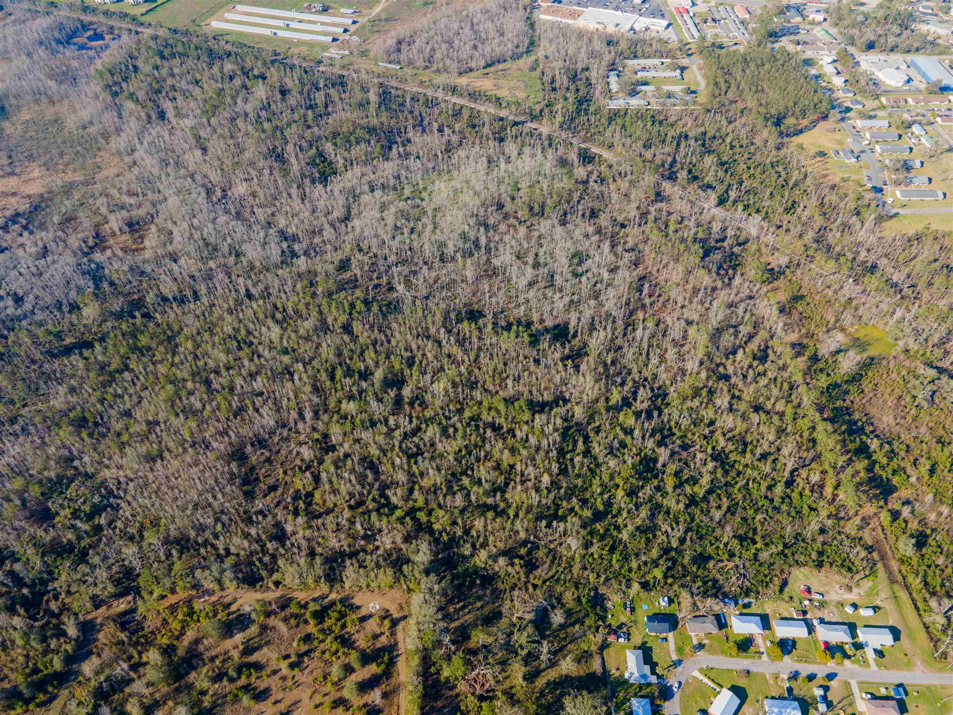 Vacant SE Jeanette Circle, Madison, Florida image 16