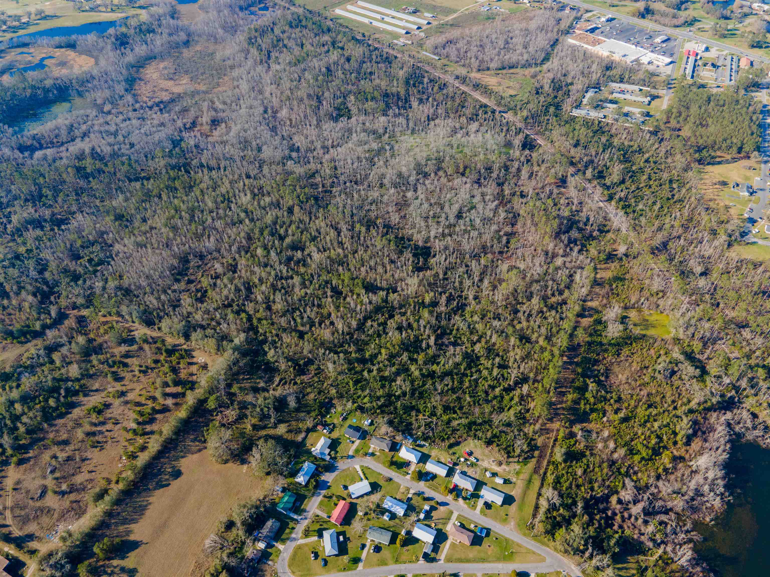 Vacant SE Jeanette Circle, Madison, Florida image 18