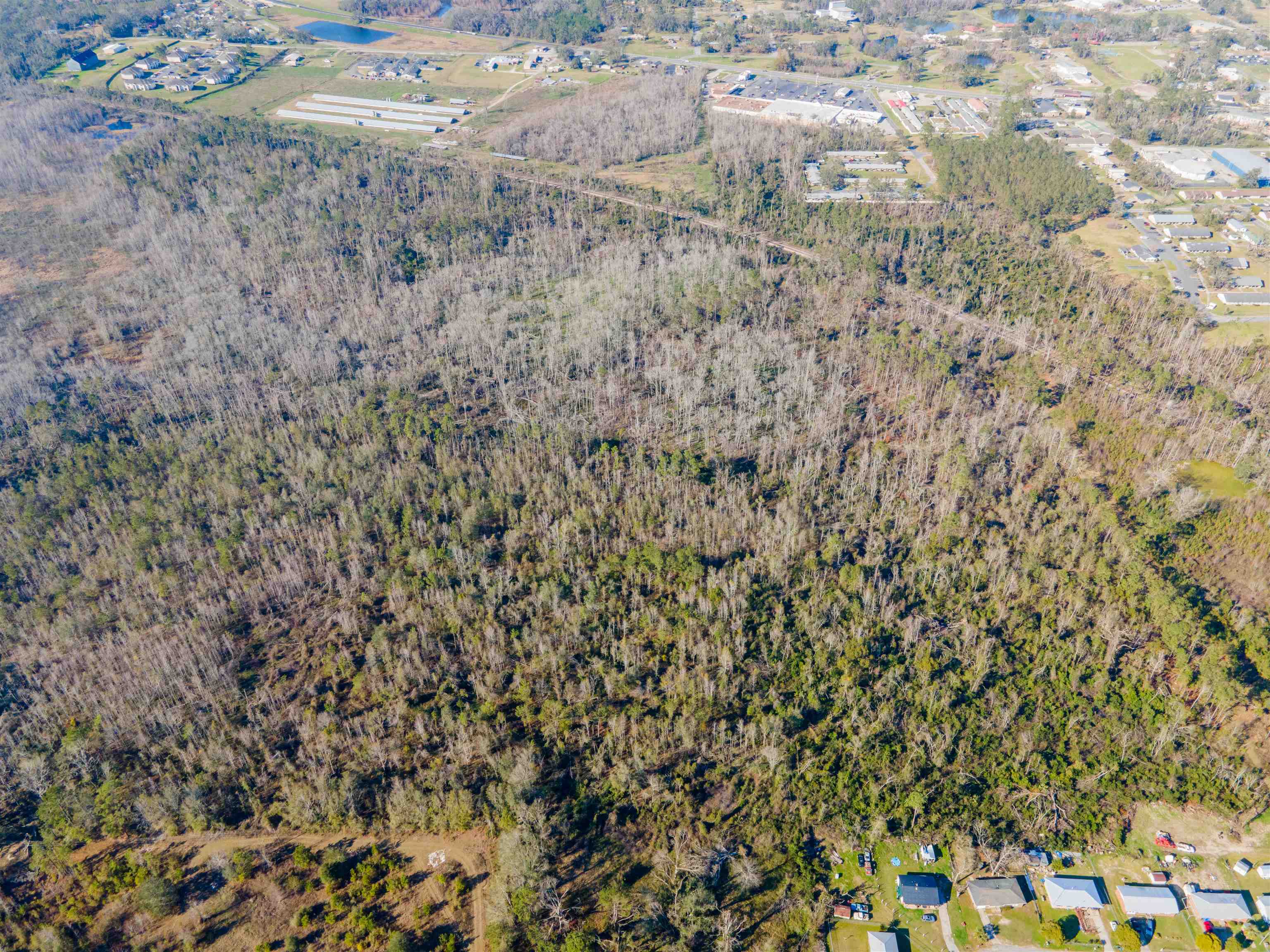 Vacant SE Jeanette Circle, Madison, Florida image 2