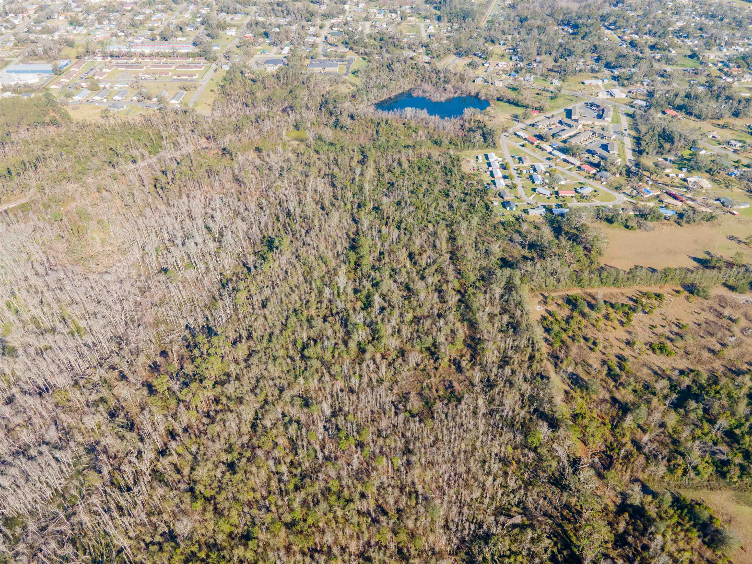 Vacant SE Jeanette Circle, Madison, Florida image 4